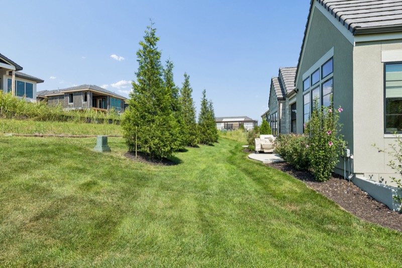 Back yard